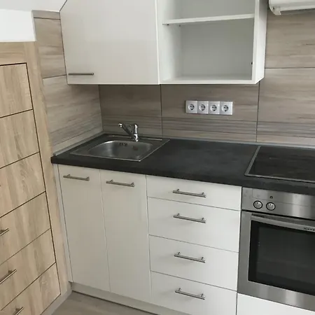 Apartman Big House